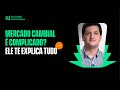 Como funciona o mercado cambial? | Faculdade Descomplica