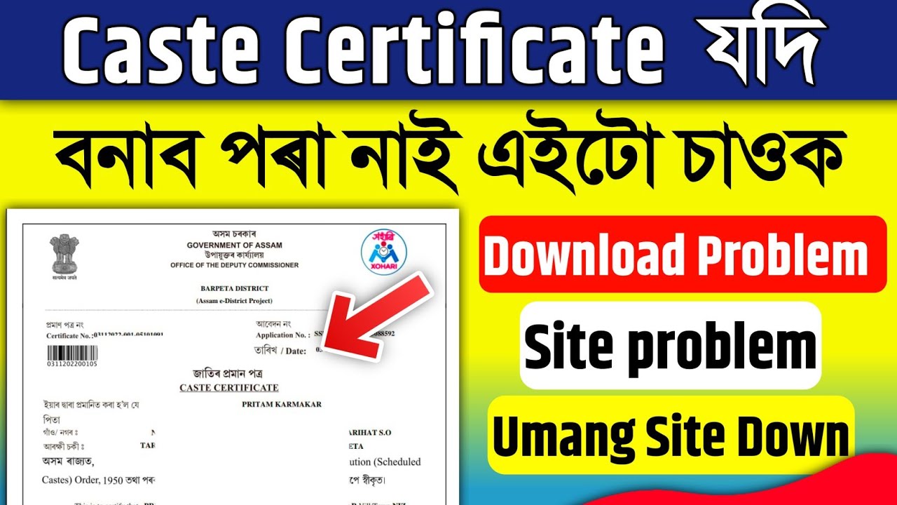 Caste Certificate Apply and Download Problem || Digital Assam 2.0