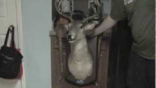 Gemmy Singing Buck Deer Head