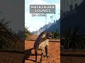Baby Maia Sounds - #theisle #theisleevrima #evrima