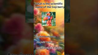 Scientific Name Quiz 48