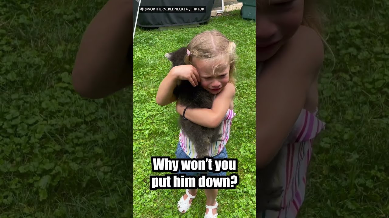 Little Girl Finds Raccoon And Falls In Love 