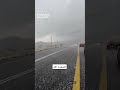 السوده الأن 16 11 1447 محبكم سعيد مشهور والقادم أجمل