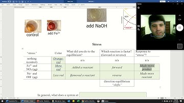 Dry Lab   Chemical Equilibrium Week 1