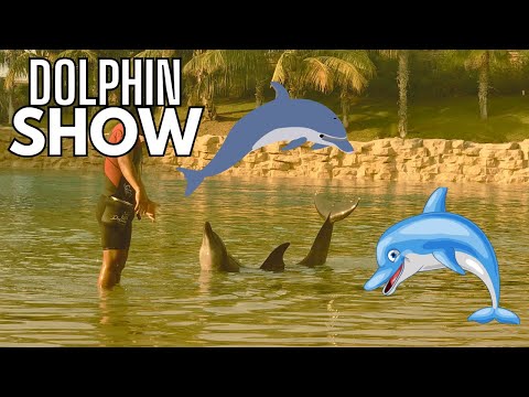 The Dolphin Show at Atlantis Aquaventure Waterpark, Dubai | 2023