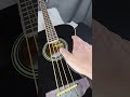 Carlo Robelli Electric Acoustic 4 String Bass Model CRFB700EQ