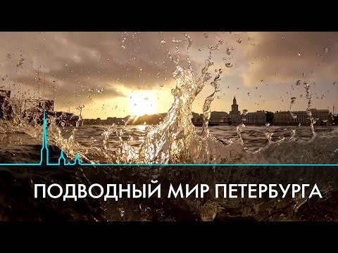 Глубина погружения. Петербург из-под воды