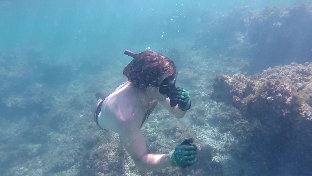 Geraldton snorkeling YouTube