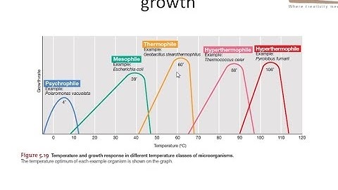Effect of temperature on bacterial growth