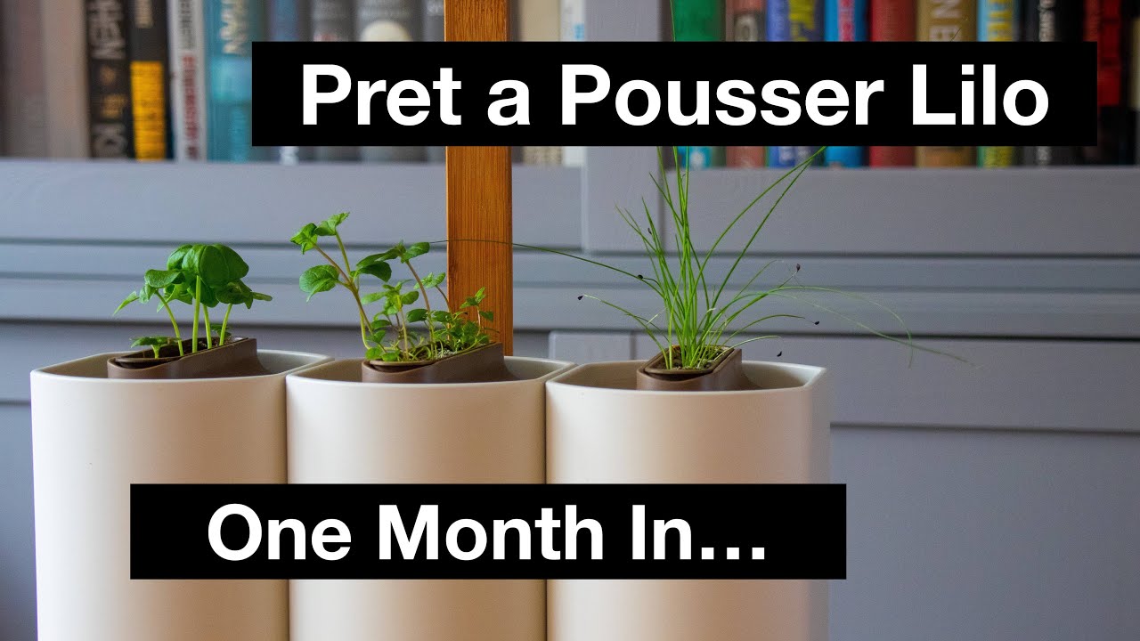 Pret a Pousser Lilo Smart Garden Review - 1 Month Progress 