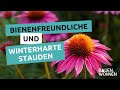 Top 5 Stauden fürs Beet I BAUEN &amp; WOHNEN