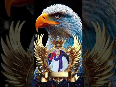 سلطان الغاب الر يس عاطف