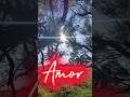 AMOR. algo más allá de dar o recibir...