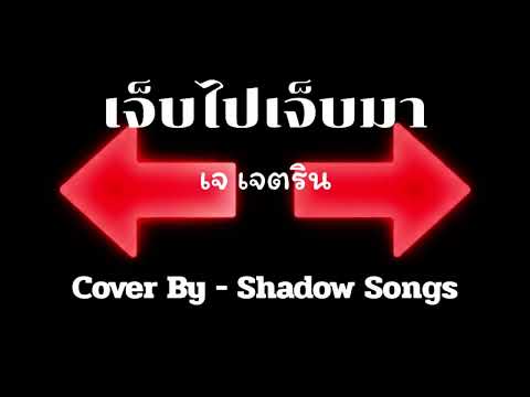 เจ็บไปเจ็บมา - เจ เจตริน  |  Cover By  Shadow Songs