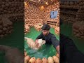 Pani Puri Ka Ghar 😱 Mint Water Mein Swimming With Puppy #shorts