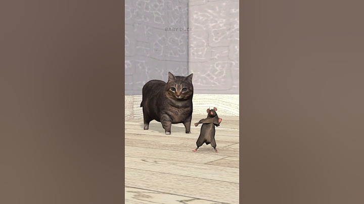 Dancing Rat vs OIIA Cat 🗿 #shorts #babyduck