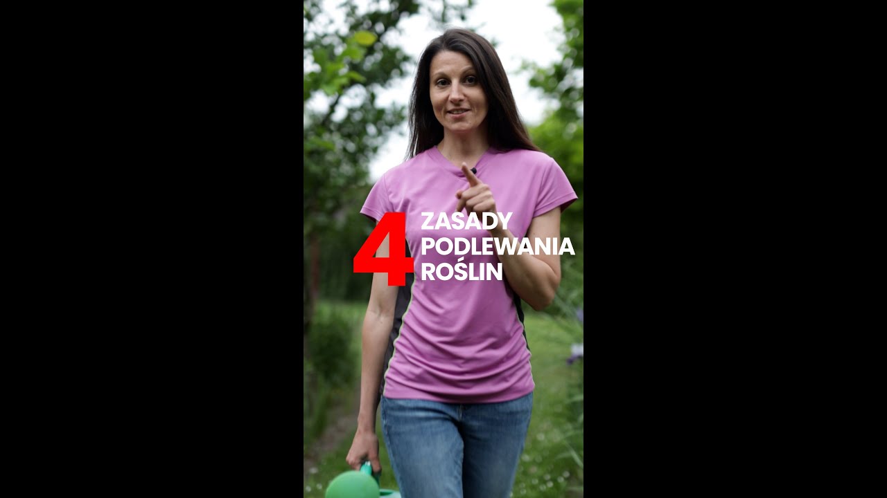 4 zasady podlewania roślin