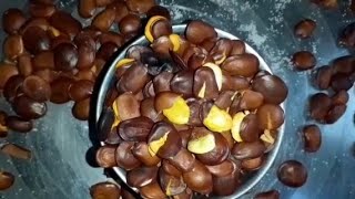 Tangudu pikkalu(chest nuts)