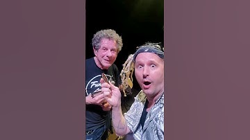 on Tour with the big guns! #leeoskar #harmonica #markhummel