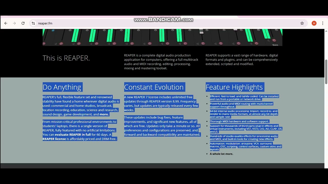 Reaper Daw V7.53 Crack + License Key Free Trial 2025