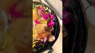 liquid fertilizer 🌿🌿🌿🌿🌿 #trending shirts# terrace garden reeta Saroj #fertilizer.