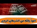 سورة يونس من الآية ٢٥ ٥٨ بصوت الشيخ عبد الامير العامري