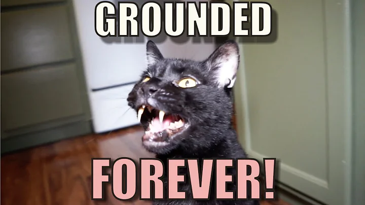 Talking Kitty Cat 59 - Grounded Forever!
