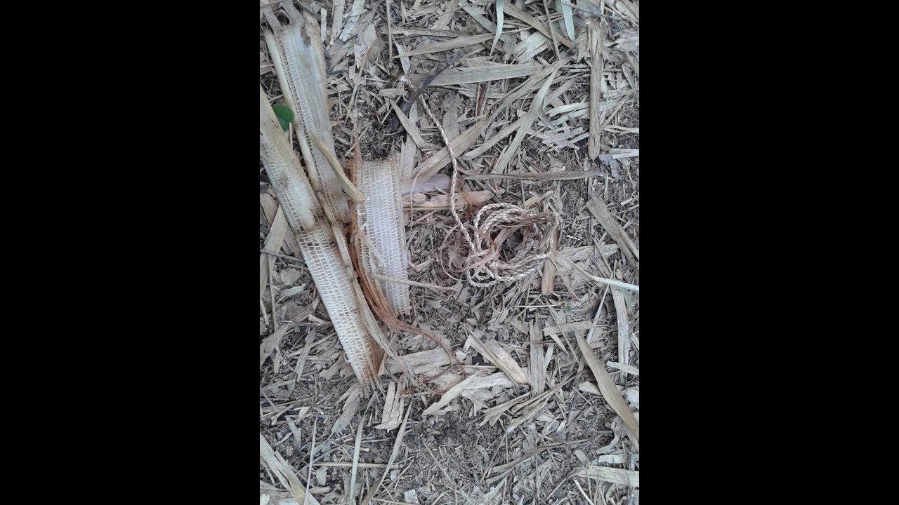 Corda de fibra de Bananeira/banana fiber rope/cuerda de fibra de