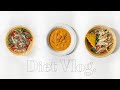 sub) ᰔdiet vlogᰔ -10kg 다이어트 식단 :: 다이어트 로제떡볶이, 소고기 샐러드, 닭가슴살 샐러드, 불닭덮밥, 센티 수경