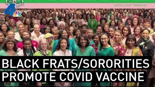 Divine 9; Black Fraternities and Sororities Raise Awareness on Vaccine | NBCLA