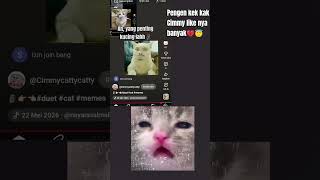 𓂃₊ཐི༑ཋྀ˚ join? #cat 𓂃₊ཐི༑ཋྀ˚ join? #cat