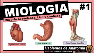 🔴👉 MYOLOGY 🟩 TYPES OF MUSCLES 🟪Let's talk about anatomy and something else...