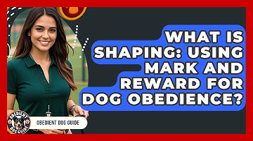 What Is Shaping: Using Mark And Reward For Dog Obedience? - Obedient Dog Guide