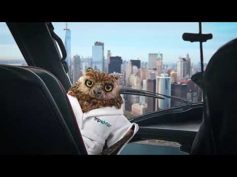 New York City - TripAdvisor's spokes-owl says using the company's app to book attractions, tours and other experiences can take your next vacation to new heights.