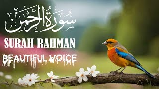 World's most beautiful Recitation of Surah Ar-Rahman beautiful Voice