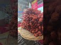 Orgy of Salame Sausages from Italy and Spain. Pasta Negra Sausages and More