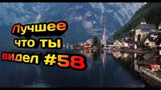 Сборник приколов №58 😂😂 | угарное видео | приколы с животными | Best Coub Compilation Сборник приколов №58 😂😂 | угарное видео | приколы с животными | Best Coub Compilation