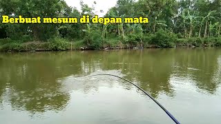 Mancing ikan nila | di depan mata berbuat mesum