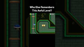 This is the Worst Mario Level 😭