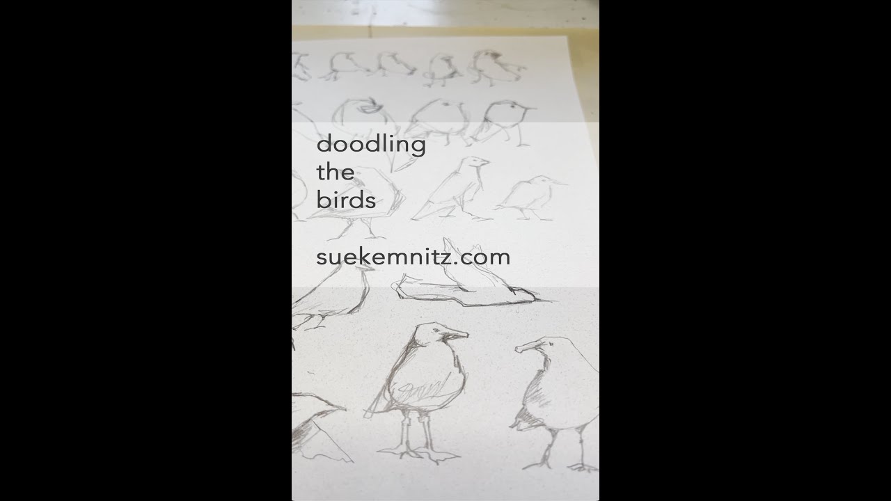 bird practice - YouTube