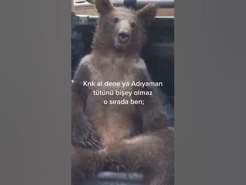 www.youtube.com