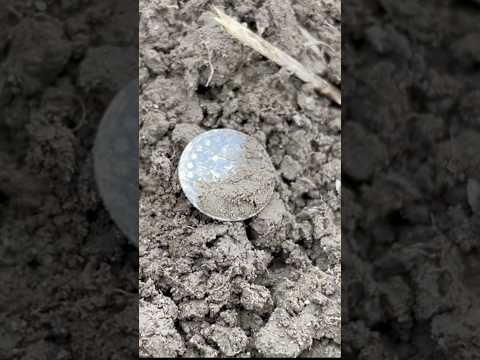 RARE COIN! Metal