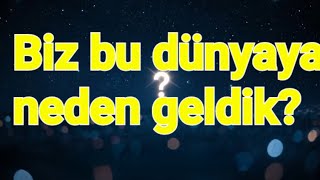 Şi̇i̇rsorgulamasöz Tüli̇n Çi̇ftçi̇