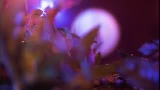 Download lagu Clair De Lune - ONE HOUR Ethereal Remix