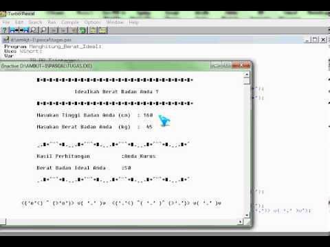 Program Pascal Hitung Berat Ideal