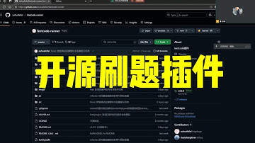 IDEA开源刷题插件，独立开发与运(zhuan)营(qian)技巧！