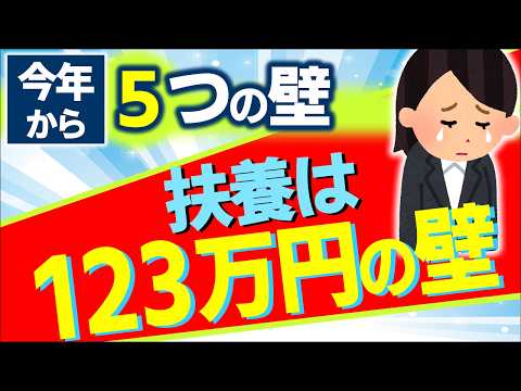 【超最速！】主婦は110万？子のﾊﾞｲﾄは123万？2025年からの年収の壁｡財務省は再び愚行を…【会社員･個人事業主･パート･扶養･学生/税金･所得･住民･社会保険/103･130･160万円】