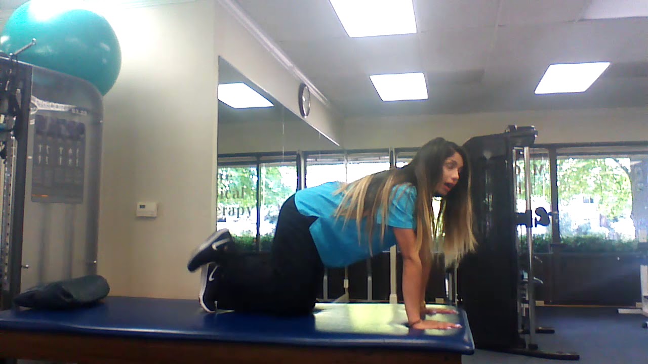 Quadraped Hip Circles camera iphone 8 plus apk