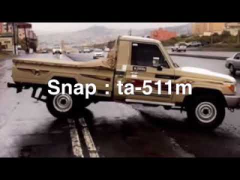 شيلات شاص