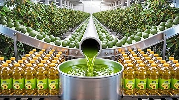 How Avocado Oil Is Made 🥑 (Full Factory Process)